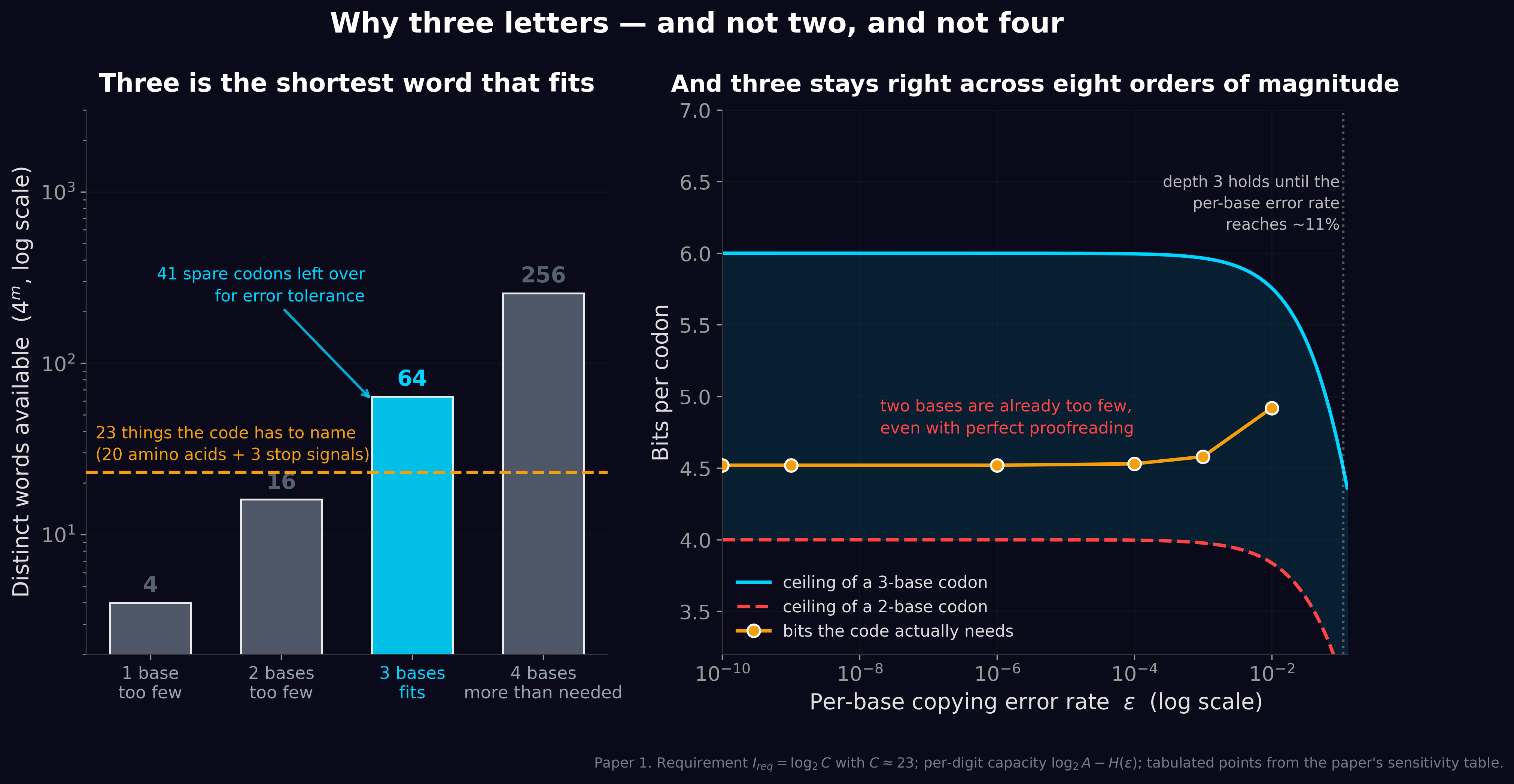 A three-base codon gives 64 words, the shortest length that covers the 23 things the genetic code has to name, and it stays the right length across eight orders of magnitude of copying error