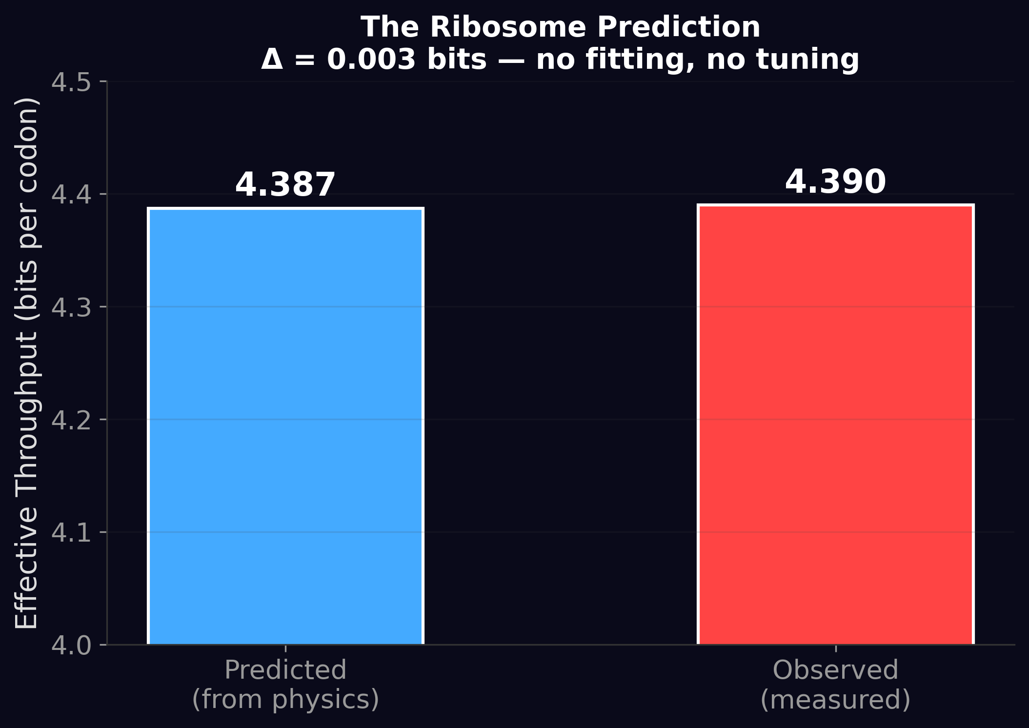Ribosome prediction visualization